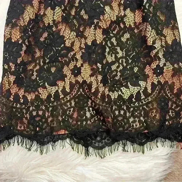 Tobi Nude & Black Lace Minidress Small - Picture 7 of 11